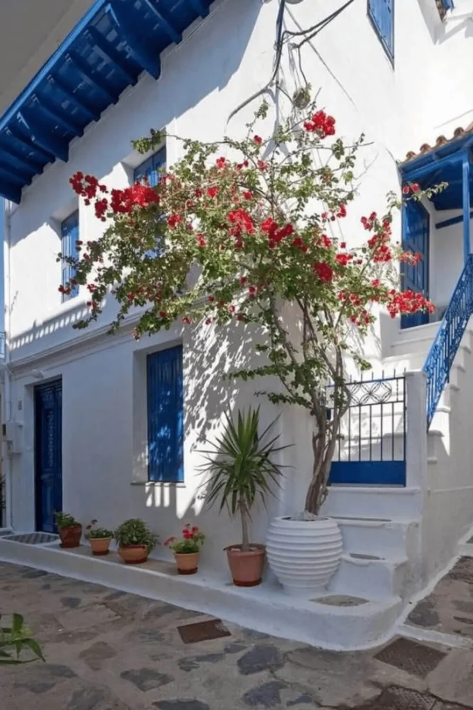 Pátio mediterrâneo plantas e vistas azuis